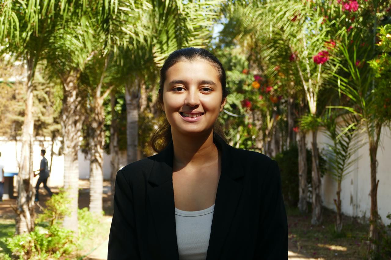 Co-chair del comité ECOSOC